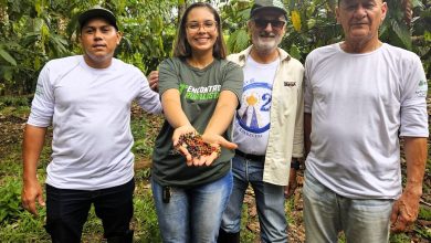 Troca de experiências entre Bahia e Pará fortalece sistemas agroflorestais