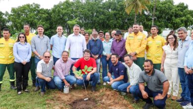arborização bahia interior