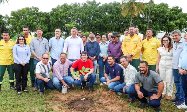 arborização bahia interior