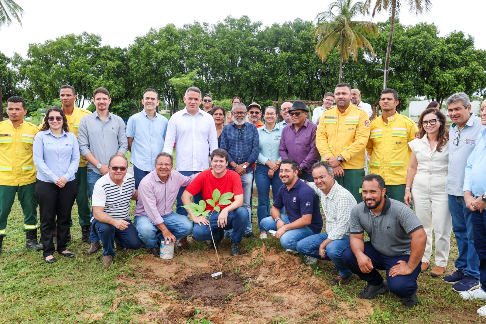 Bahia inicia projeto de arborização em 12 cidades do interior para combater