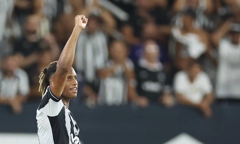 Botafogo Pré-Libertadores