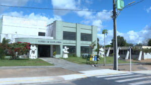 cultura surda bahia