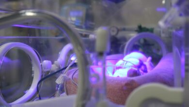 imunização VSR Bahia