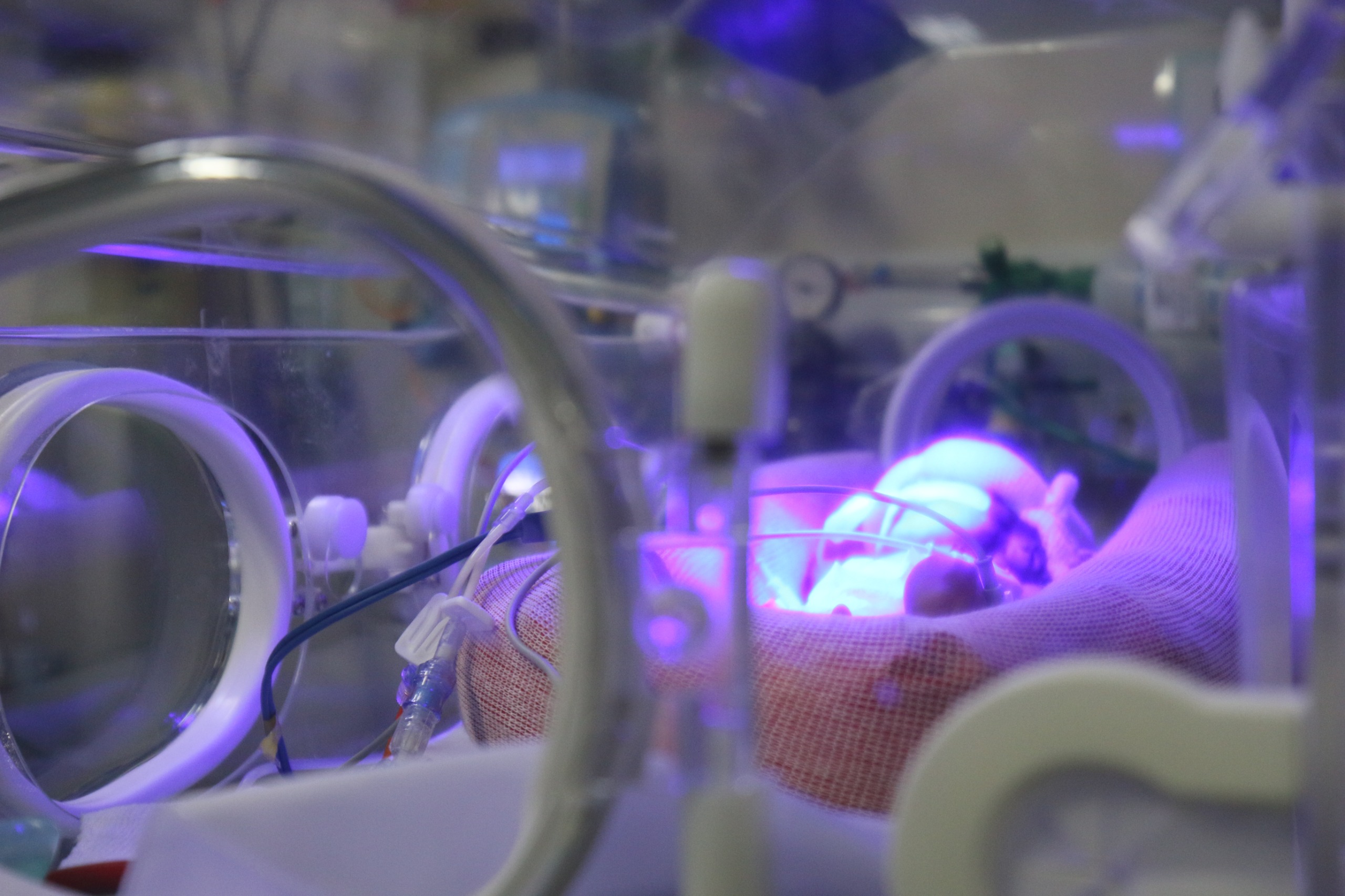 Imunização VSR Bahia distribui 44,5 mil doses para proteger bebês