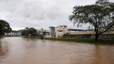 mortes temporais zona mata