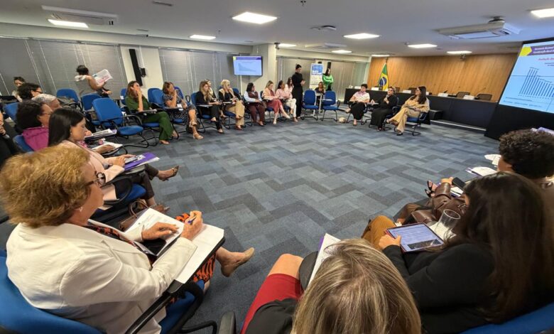 políticas para mulheres