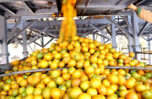 produção agrícola Bahia