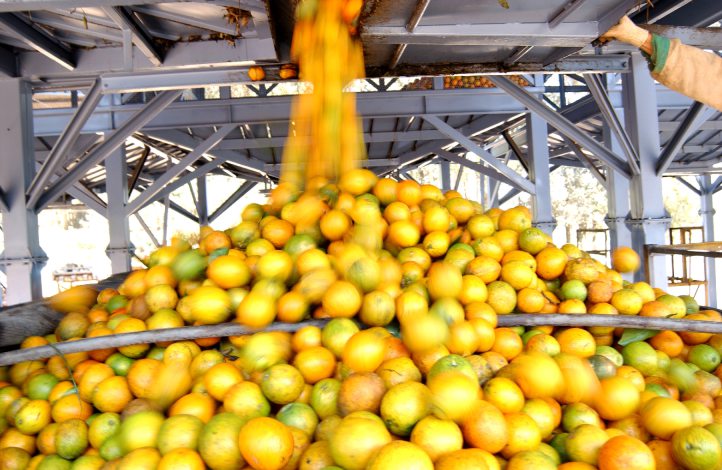 produção agrícola Bahia