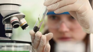 programa meninas cientistas