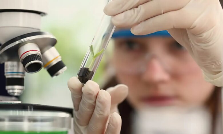 programa meninas cientistas