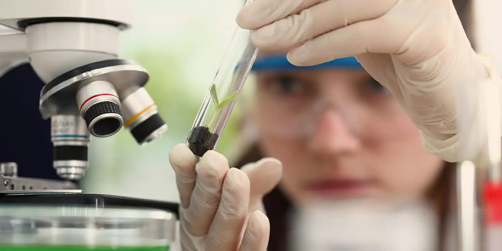 ON lança programa Meninas Cientistas com bolsas de R$ 300 para alunas