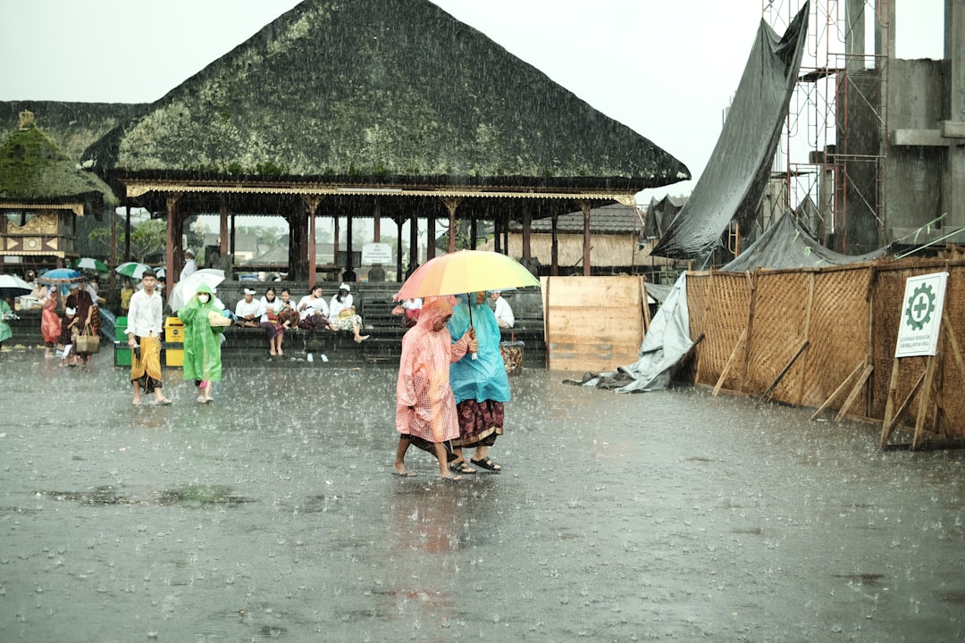 Situação de emergência Ubatuba: impactos críticos após 100mm de chuva