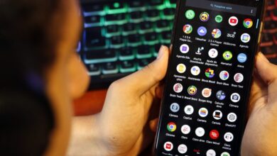 vídeos misóginos investigação