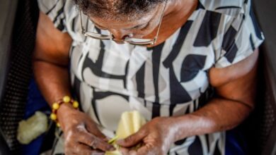 atendimento idosos domicilio