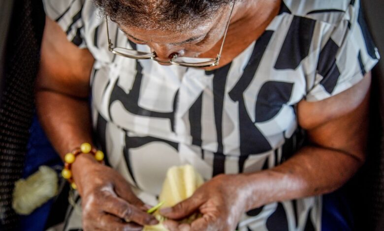 atendimento idosos domicilio