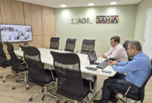 Bahia agricultura Conseagri