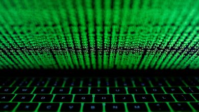 dados abertos brasil