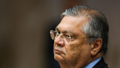 dino suspende sigilo lulinha