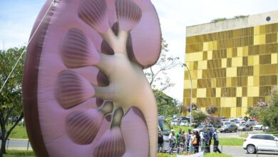 doença renal crônica