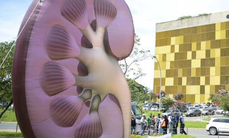 doença renal crônica