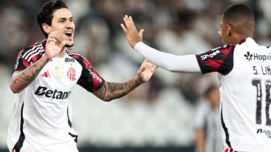 Flamengo Botafogo Brasileirão