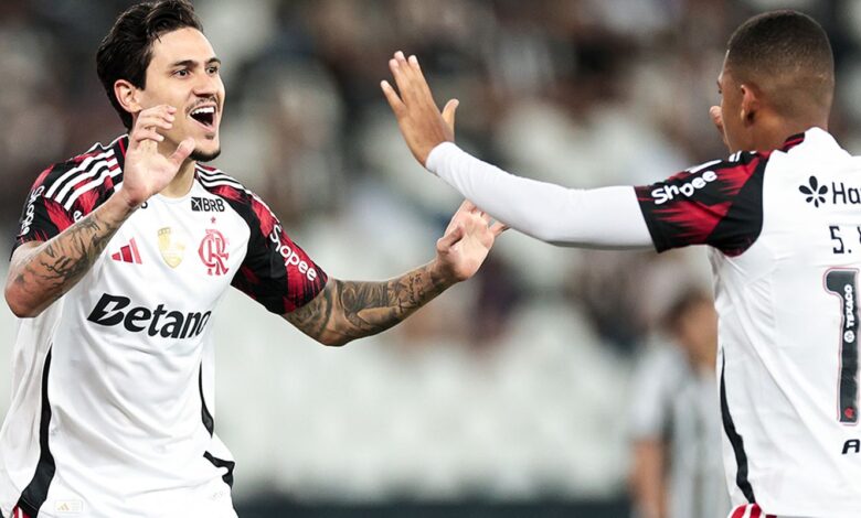 Flamengo Botafogo Brasileirão