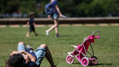 licença paternidade 20 dias