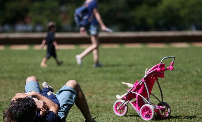 licença paternidade 20 dias