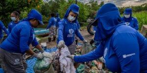 limpeza manguezais baia guanabara