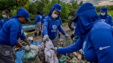 limpeza manguezais baia guanabara