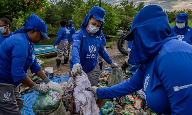 limpeza manguezais baia guanabara