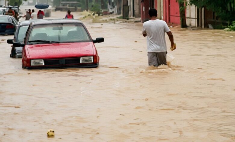 Paraty recursos desastres