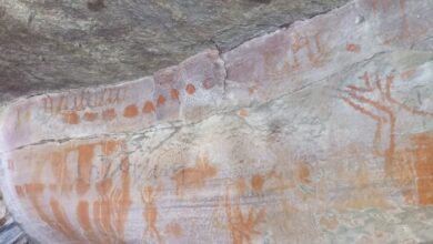 patrimônio rupestre Bahia