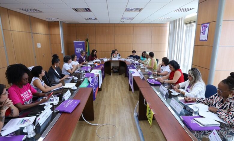 pautas mulheres governo