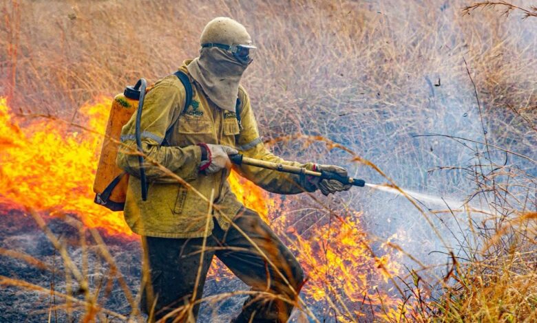 plano combate incendios