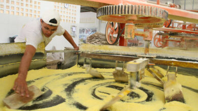 produção mandioca Bahia