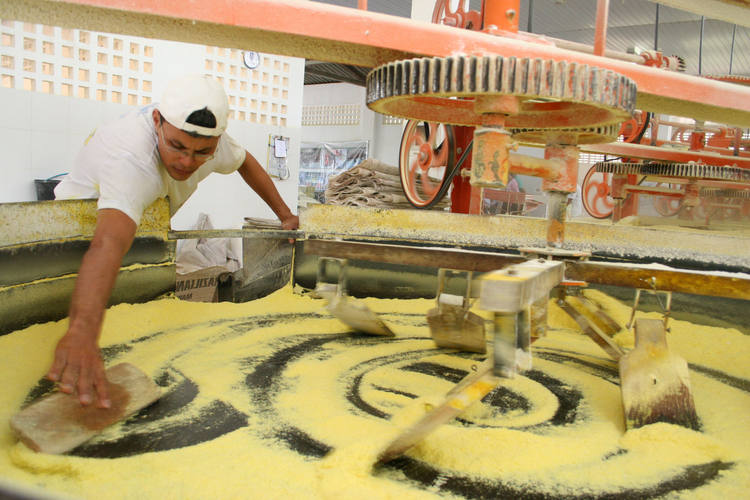 Bahia debate futuro da produção de mandioca visando 907 mil toneladas