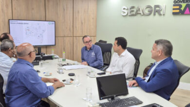 programa campo limpo bahia