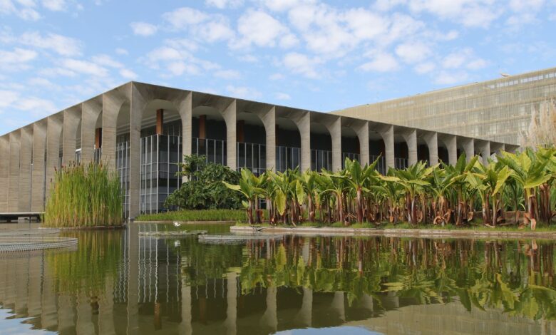 psicóloga brasileira desaparecida