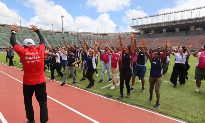 sinebahia recrutamento