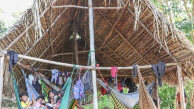 Terra Indígena Apyterewa