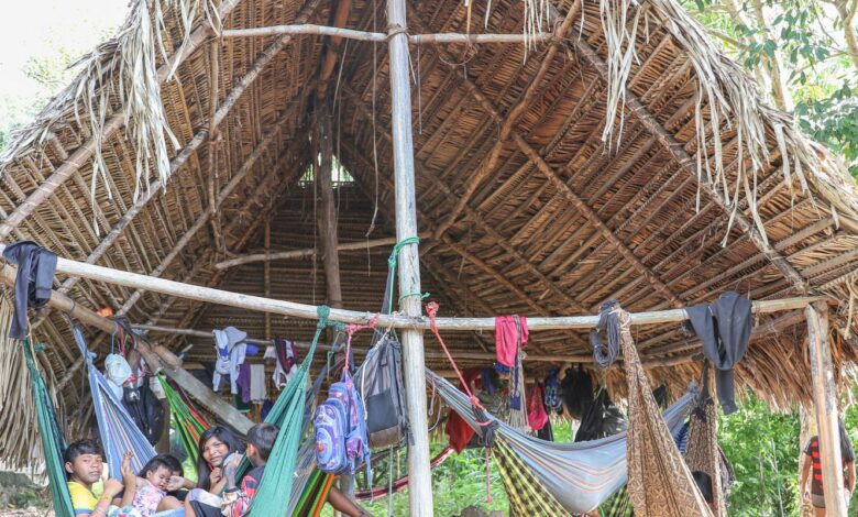 Terra Indígena Apyterewa