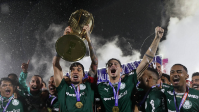 títulos estaduais futebol