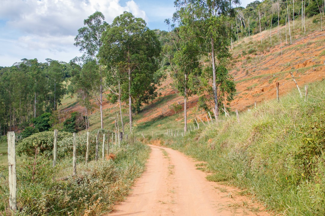 Ministério da Gestão e Google otimizam Cadastro Ambiental Rural