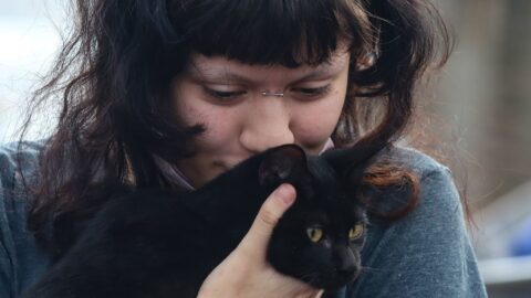 Prefeitura de SP garante castração gratuita para cães e gatos