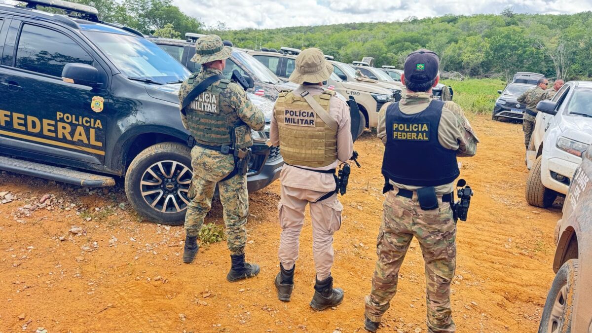 Bahia: Polícia desarticula plantio de 125 mil pés de maconha