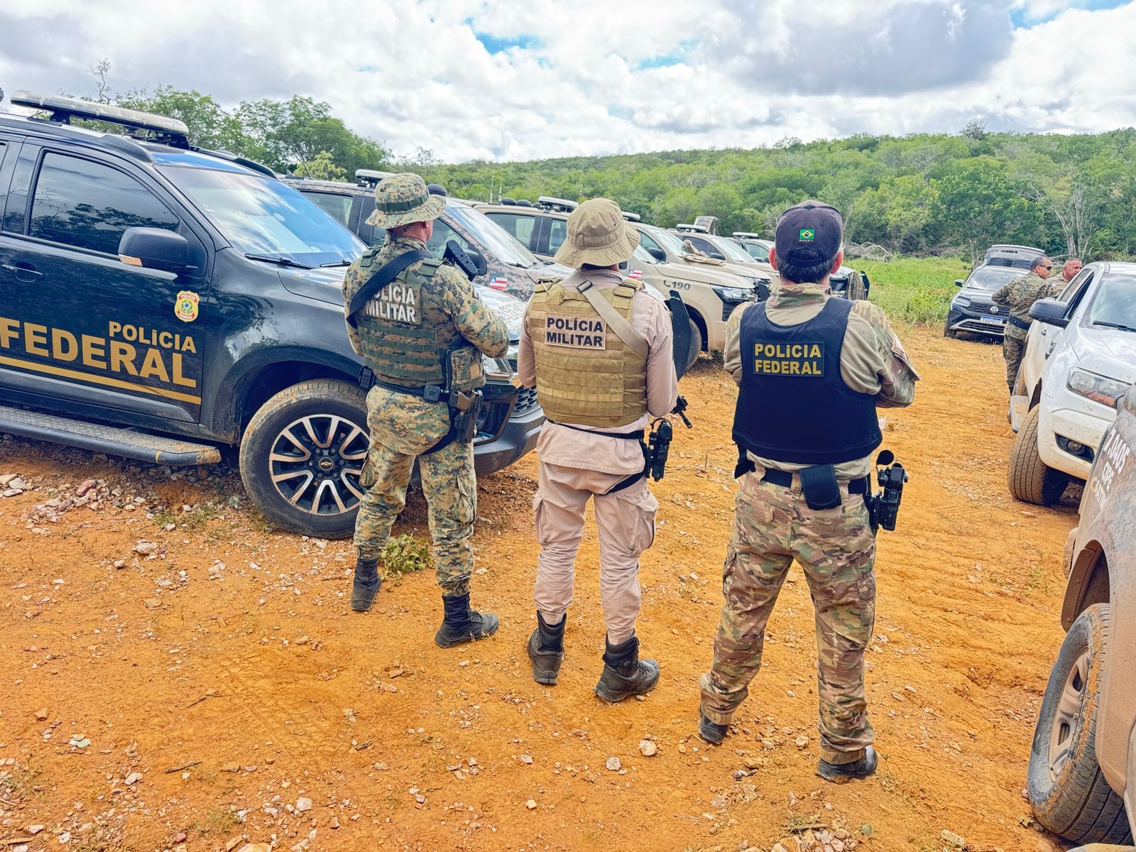 Bahia: Polícia desarticula plantio de 125 mil pés de maconha