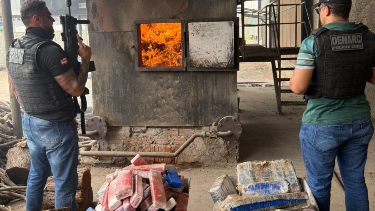 Polícia Civil da Bahia destrói quase duas toneladas de maconha em