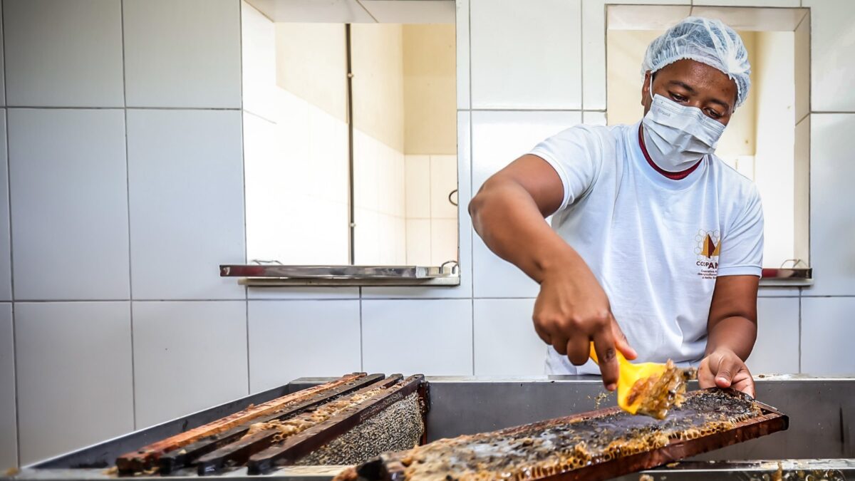 Governo da Bahia inaugura unidades para fortalecer agricultura local