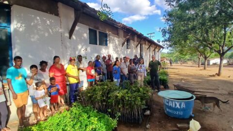 Bahia impulsiona desenvolvimento rural com 5 mil mudas em Itaberaba